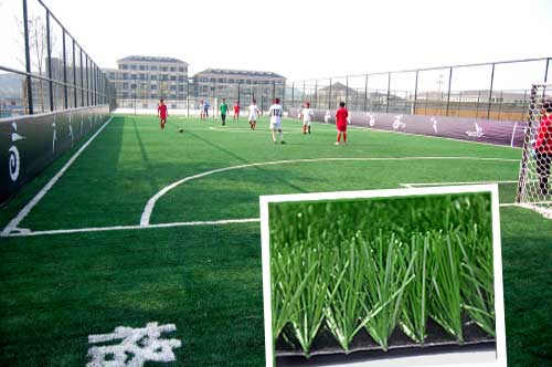 人造草坪項目案例